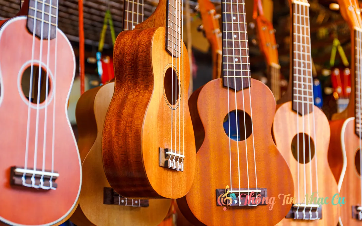 Đàn Ukulele Có Mấy Loại? Cách Nhận Biết Các Dòng Ukulele