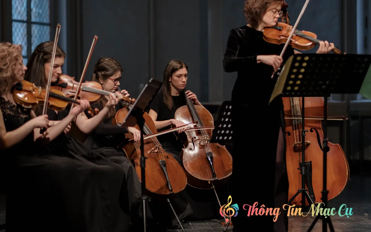 Tìm Hiểu Các Loại Đàn Violin: Cách Chọn Đàn Phù Hợp