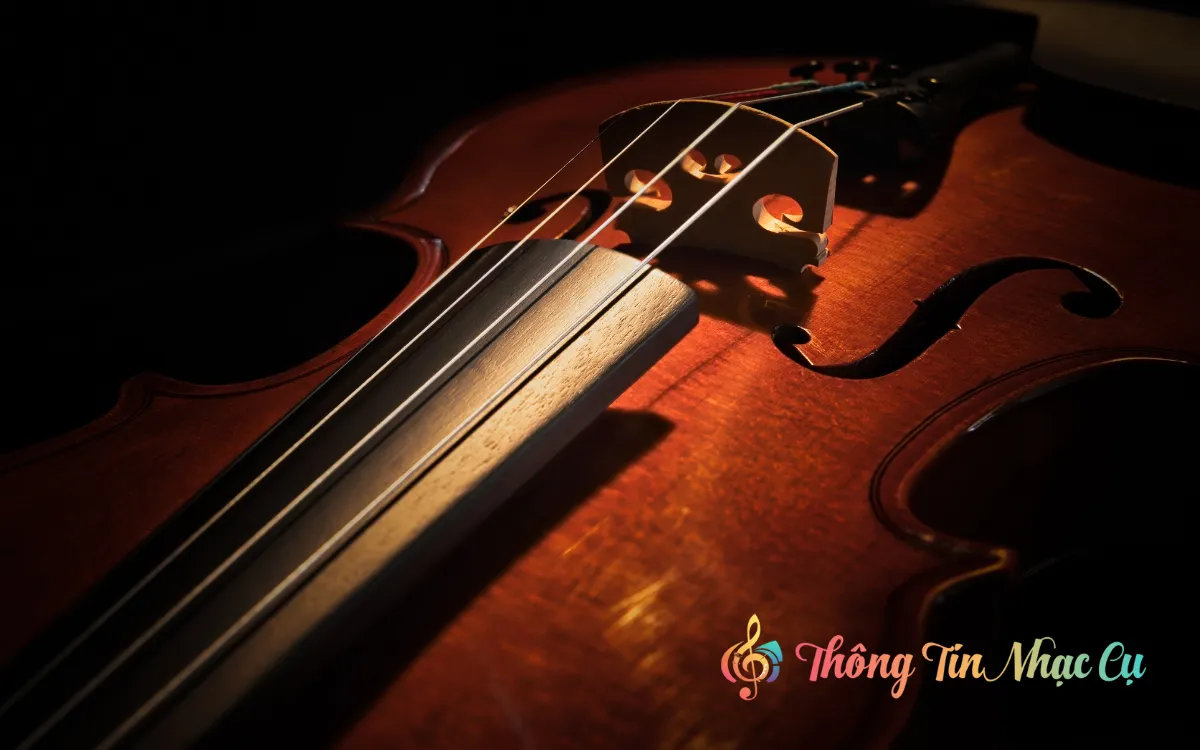 Đàn Violin 1/8 Là Gì? Tìm Hiểu Kích Thước Và Độ Tuổi Phù Hợp